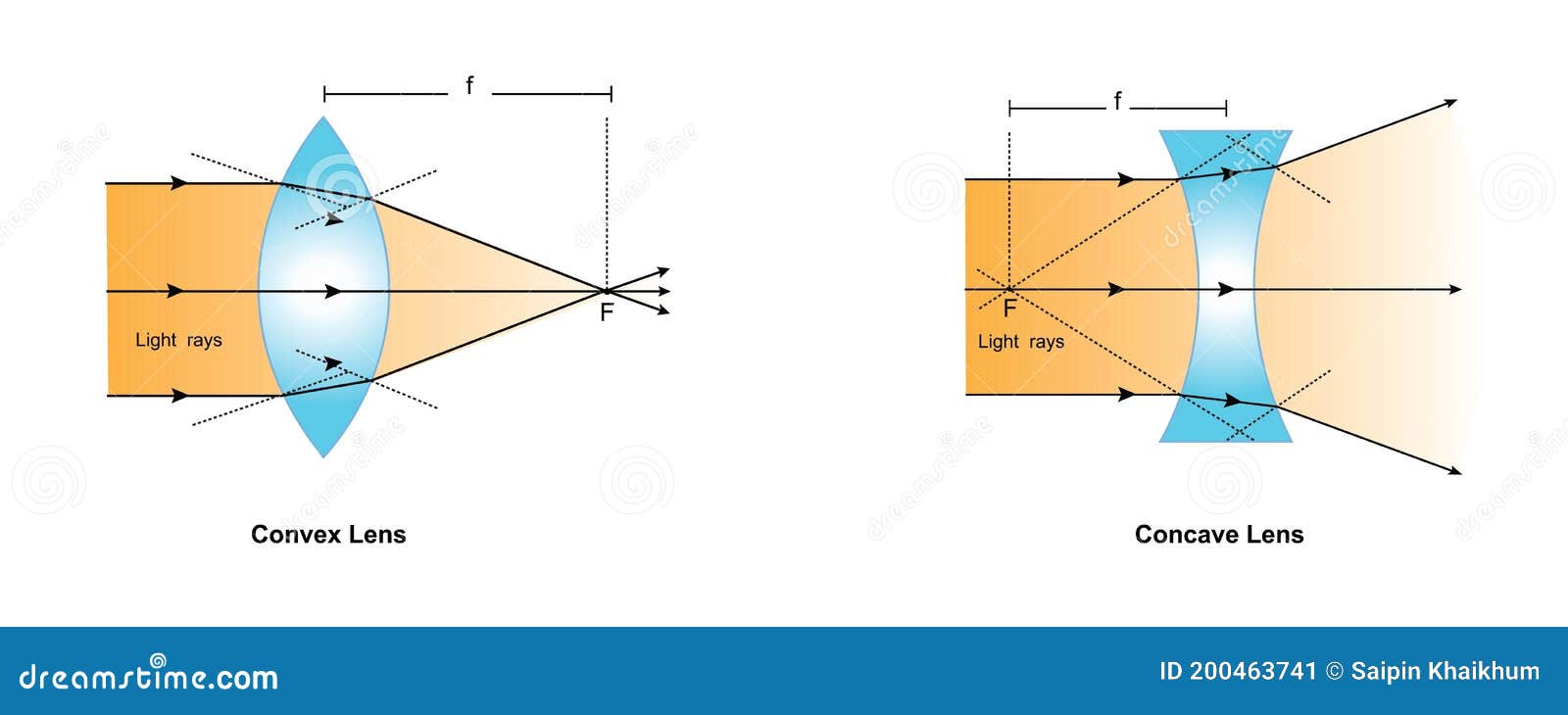 convex lens and concave lens.