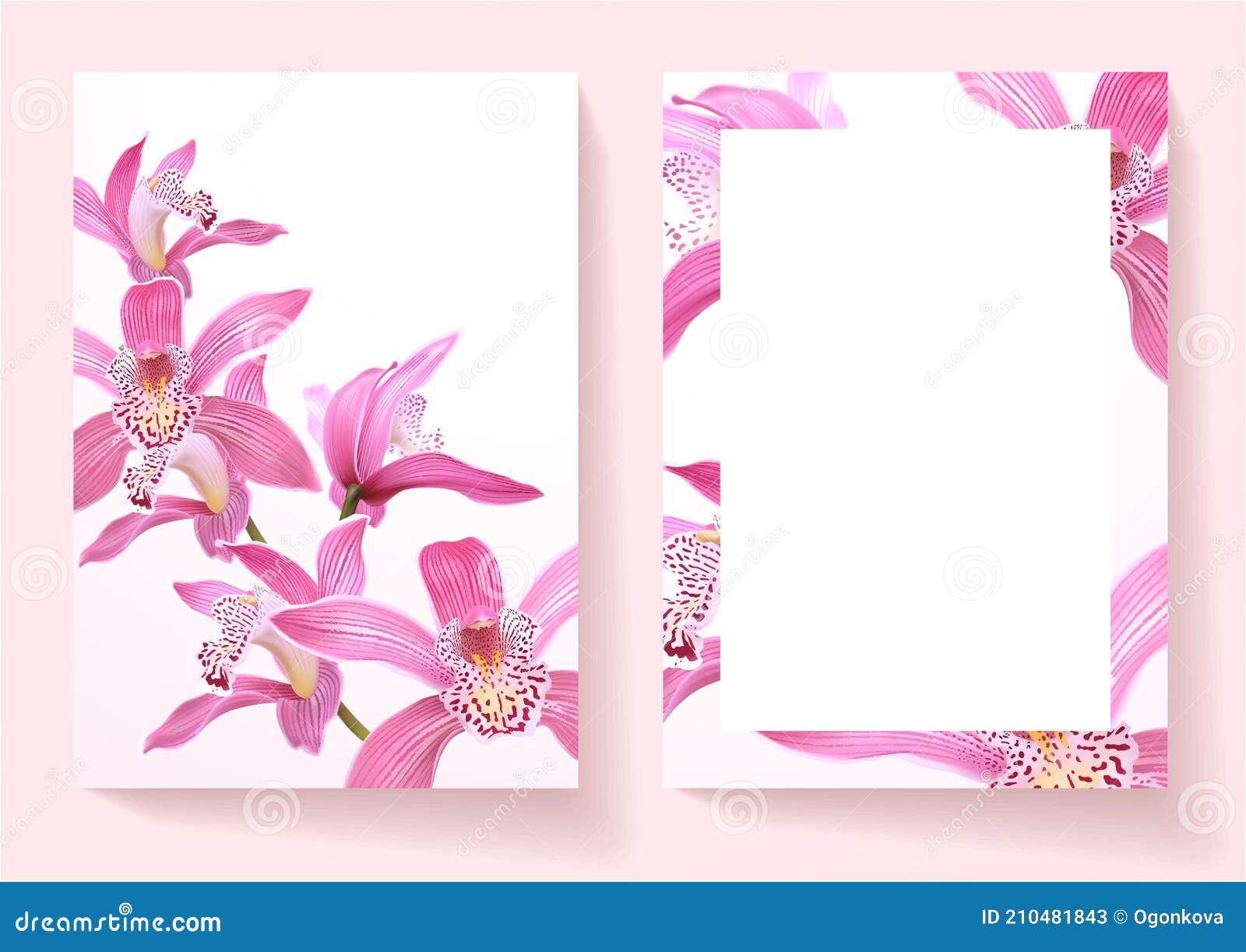 Oriental Pink Lilies and Butterflies Picture Poster Flowers Art Framed Print 
