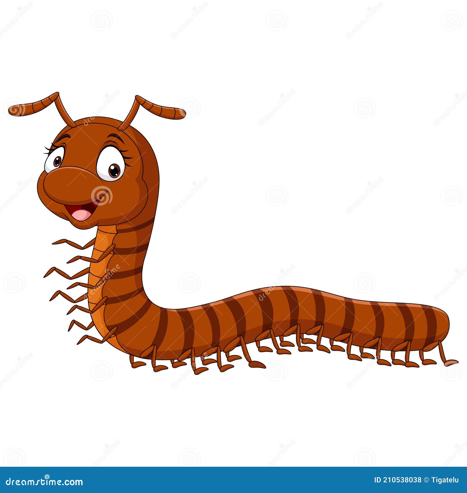 Caterpillar Millipede Cartoon Vector | CartoonDealer.com #73844711