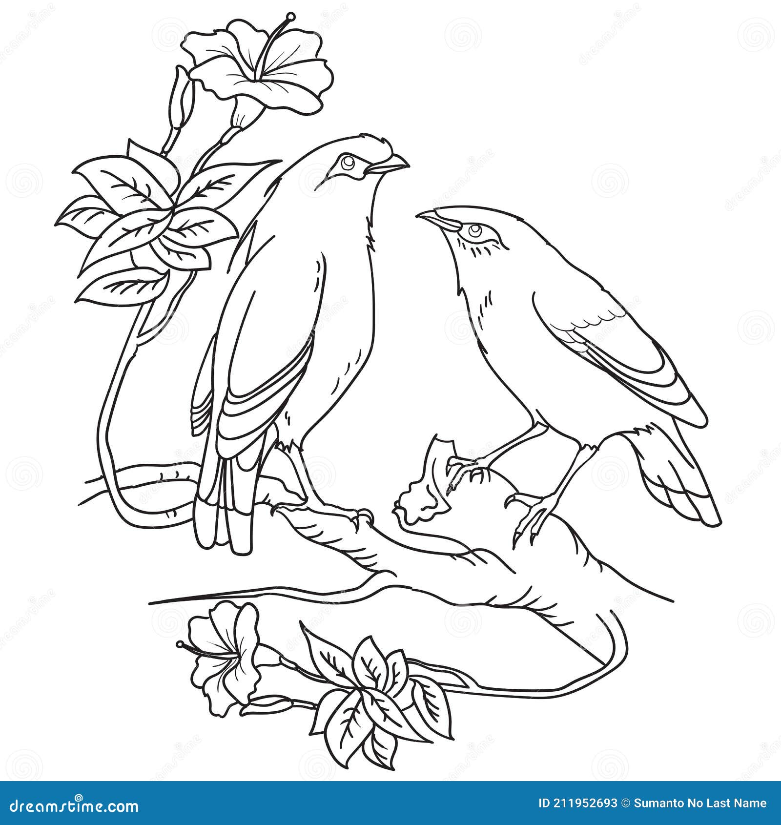 Birds and Flower 5 Coloring Page Stock Vector Illustration of book