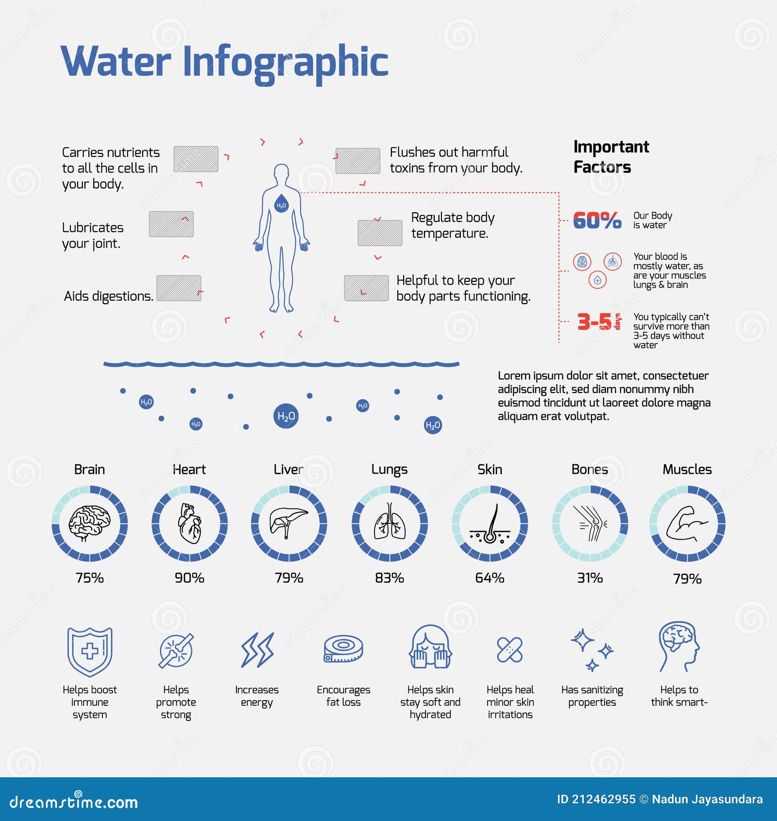 water infographic- water levels, importance of water,