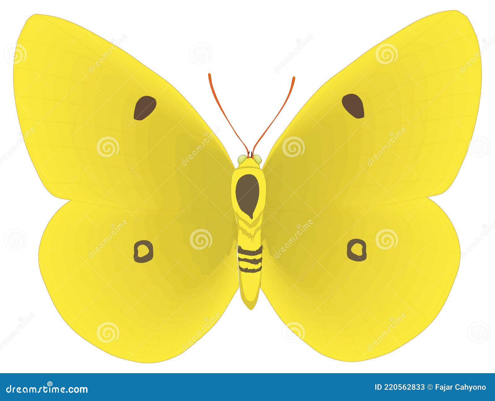 Yellow Butterfly Insect Vector Illustration Transparent Background Stock  Vector - Illustration of animal, colorful: 220562833