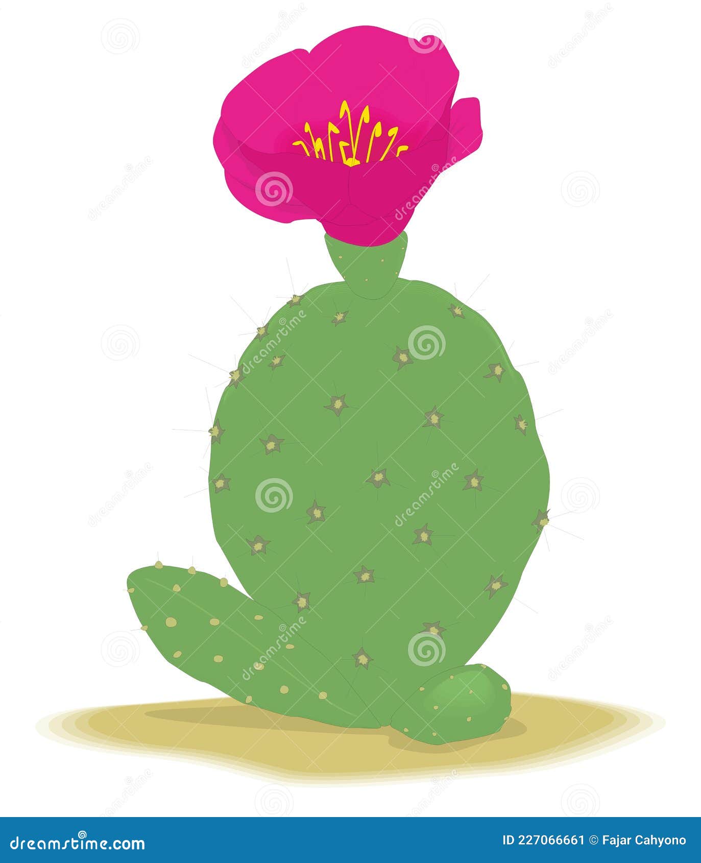 Cactus Flower Vector Illustration Transparent Background Stock Vector - Illustration of cartoon, bouquet: 227066661 Cactus Flower Vector Illustration Transparent Background Stock Vector - Illustration of cartoon, bouquet: 227066661