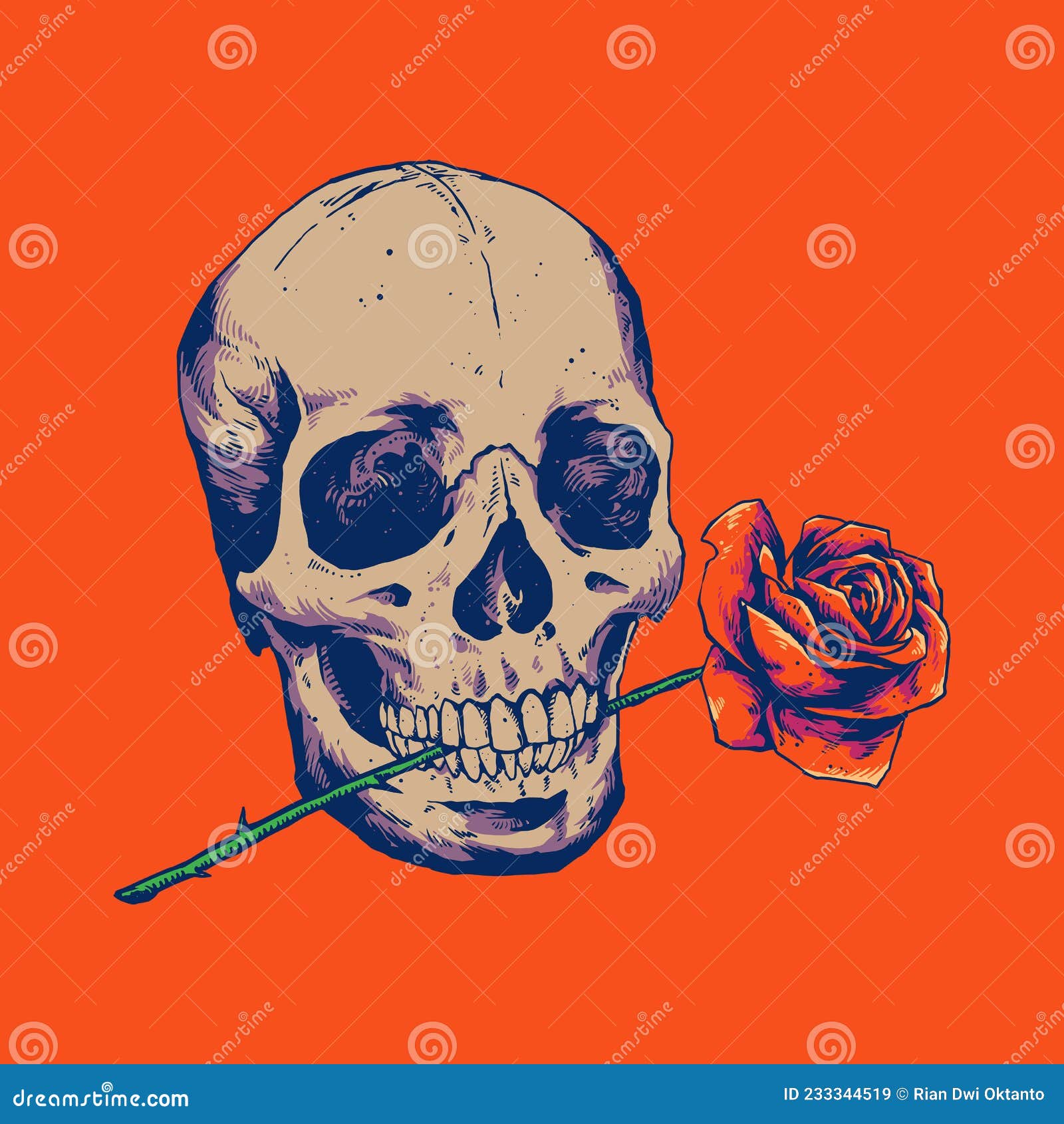 Skull biting rose stock vector. Illustration of head - 233344519