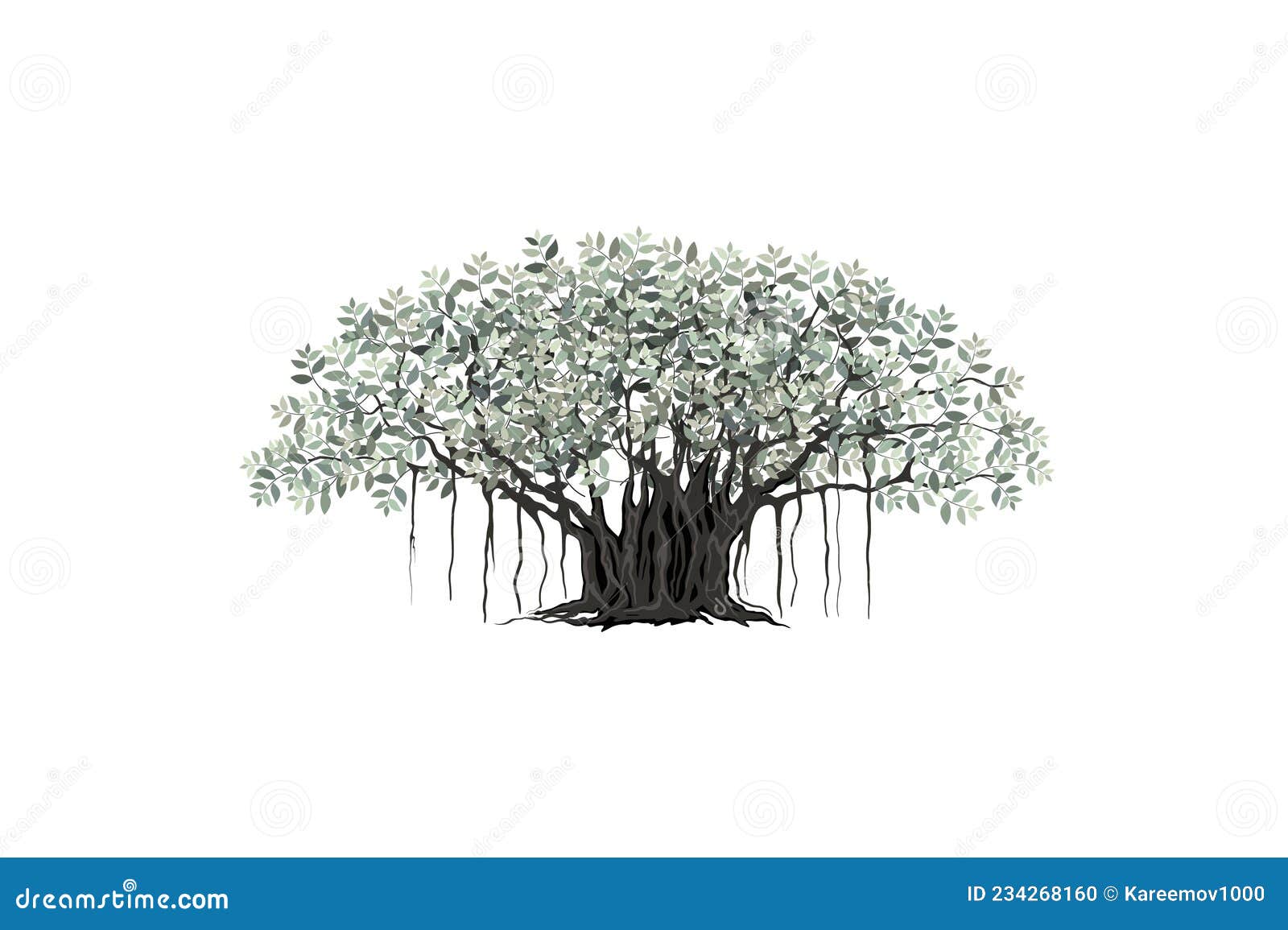 Banyan Tree Vector Stock Photos and Images  123RF