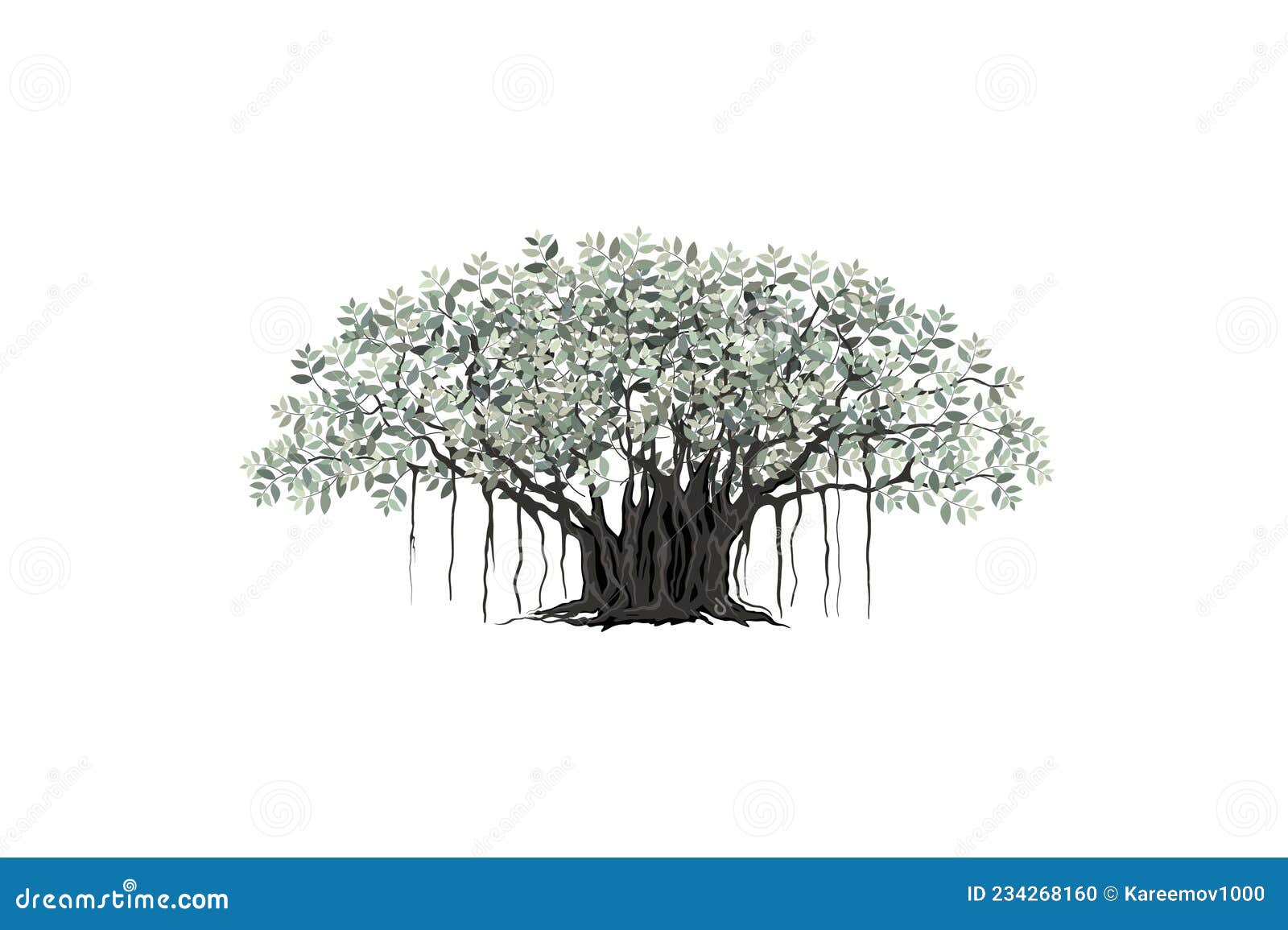 Banyan tree vintage Royalty Free Vector Image  VectorStock