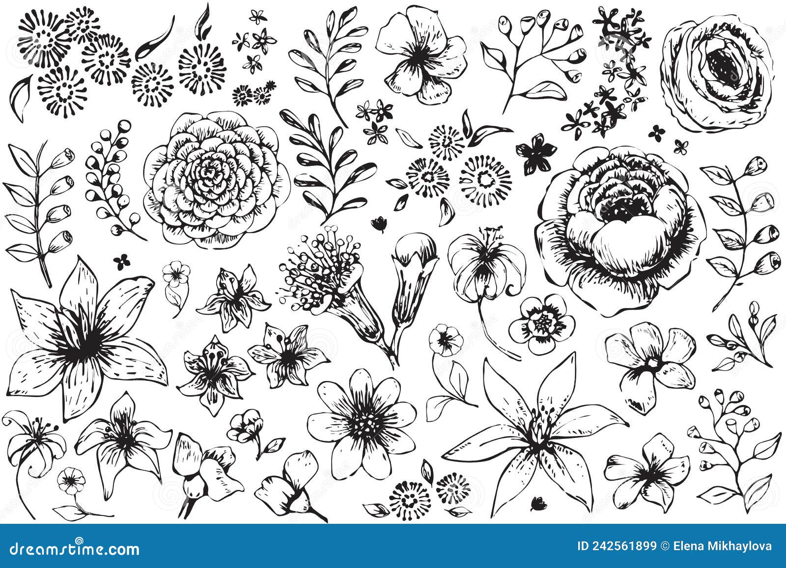 Flower Outlines on White Background Stock Vector - Illustration of ...