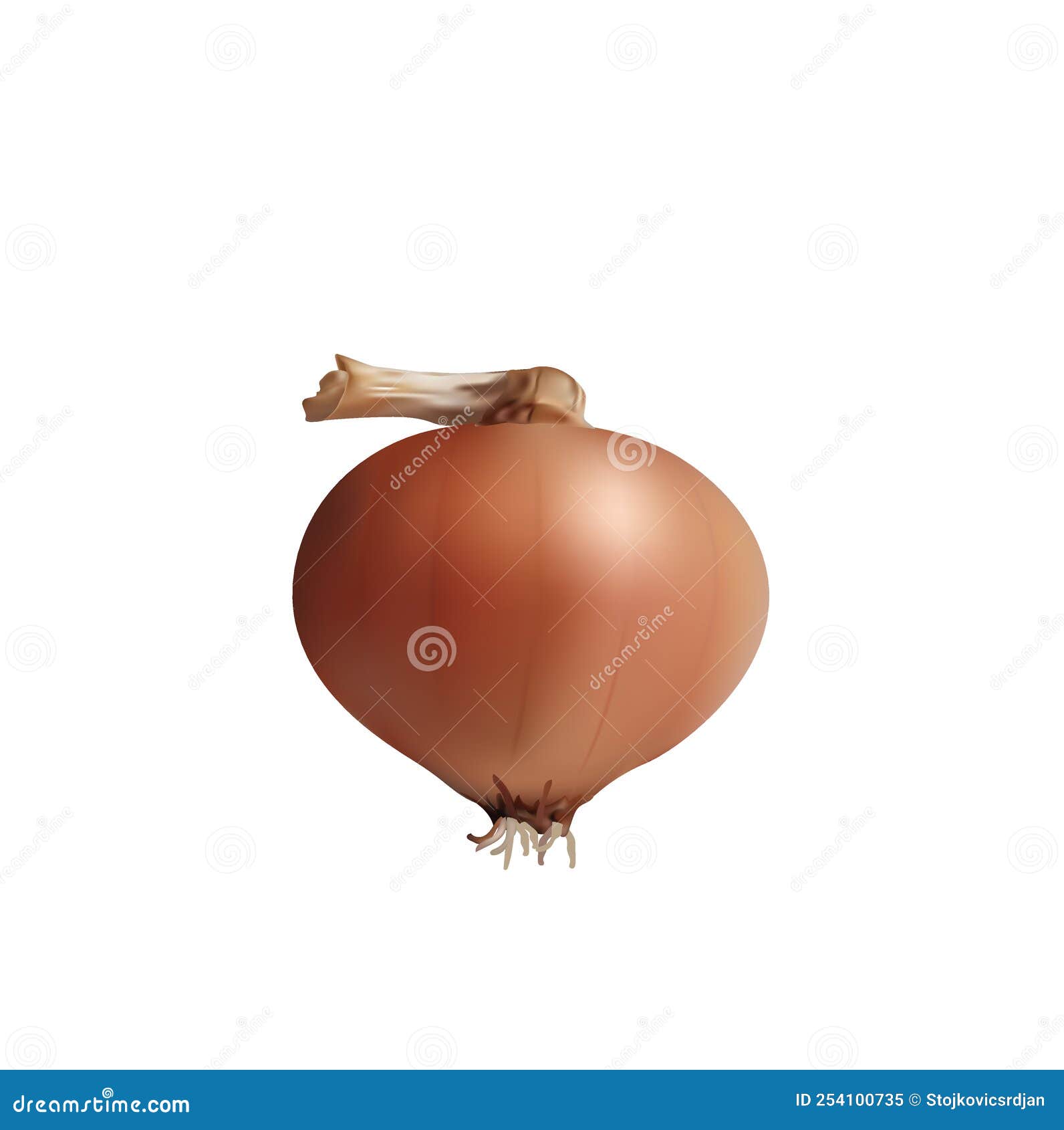 Green onion root stock vector. Illustration of food 254100735