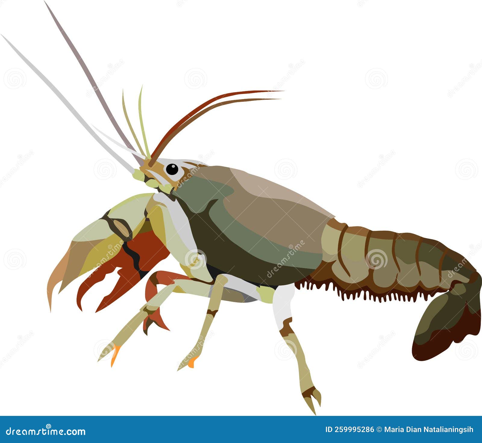 Lobster Water Animal Vector Illustration Stock Vector Illustration of