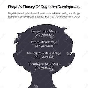 Piaget S Theory Of Cognitive Development Vector Infographic Stock 
