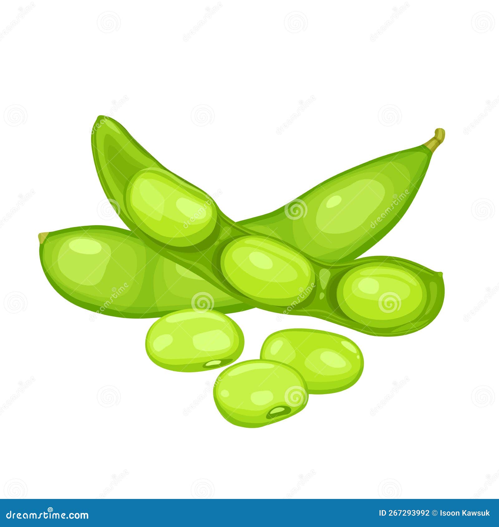 Edamame Beans Isolated On White Background. Vector Eps 10