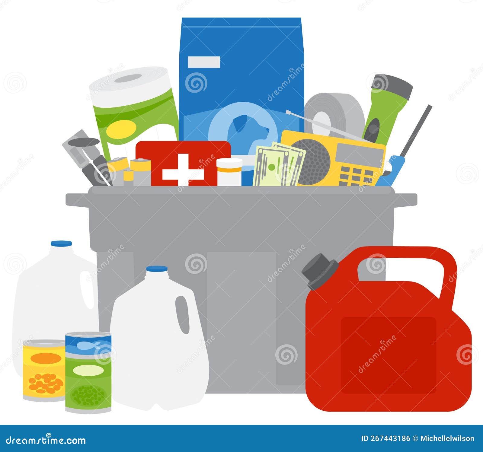 A Set of Emergency Supplies Stock Vector Illustration of disaster