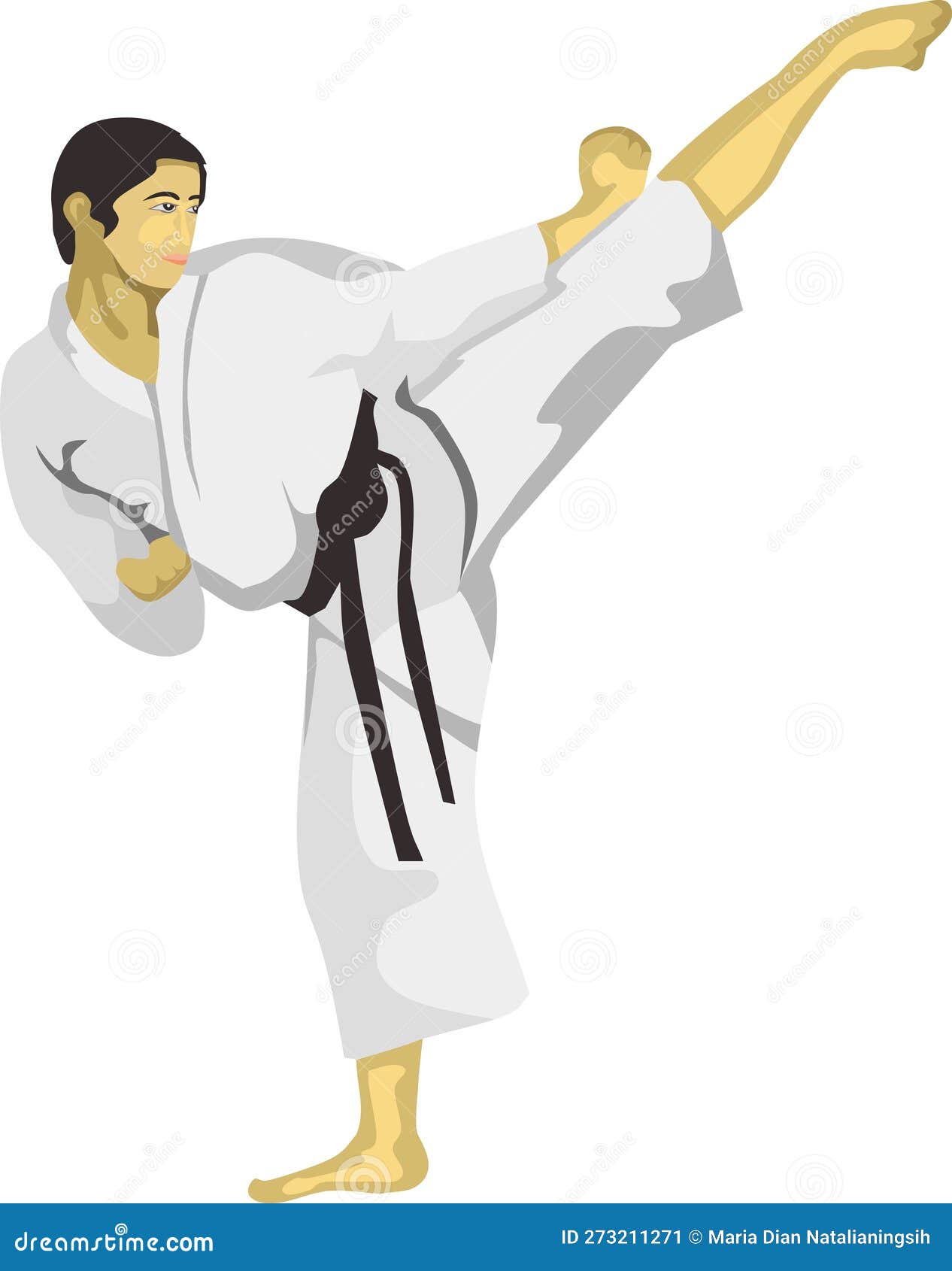 Karate Side Kick Martial Art Vector Stock Vector Illustration of