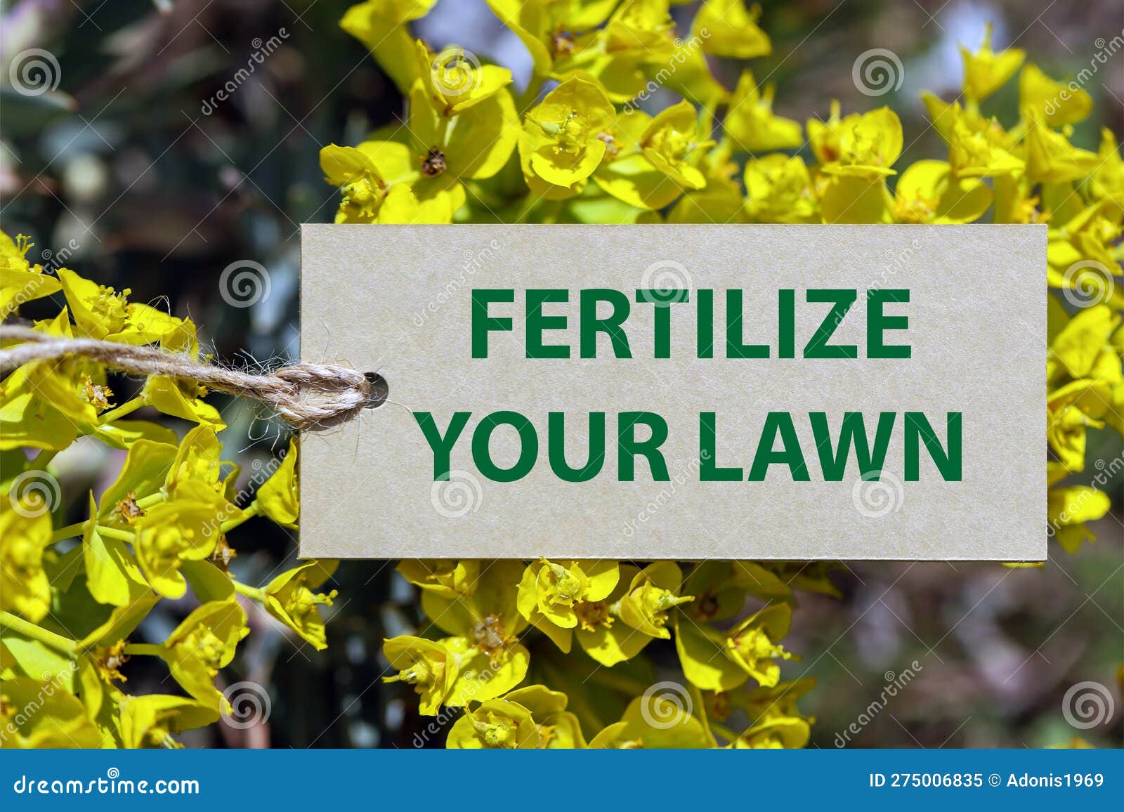 fertilize your lawn word on paper