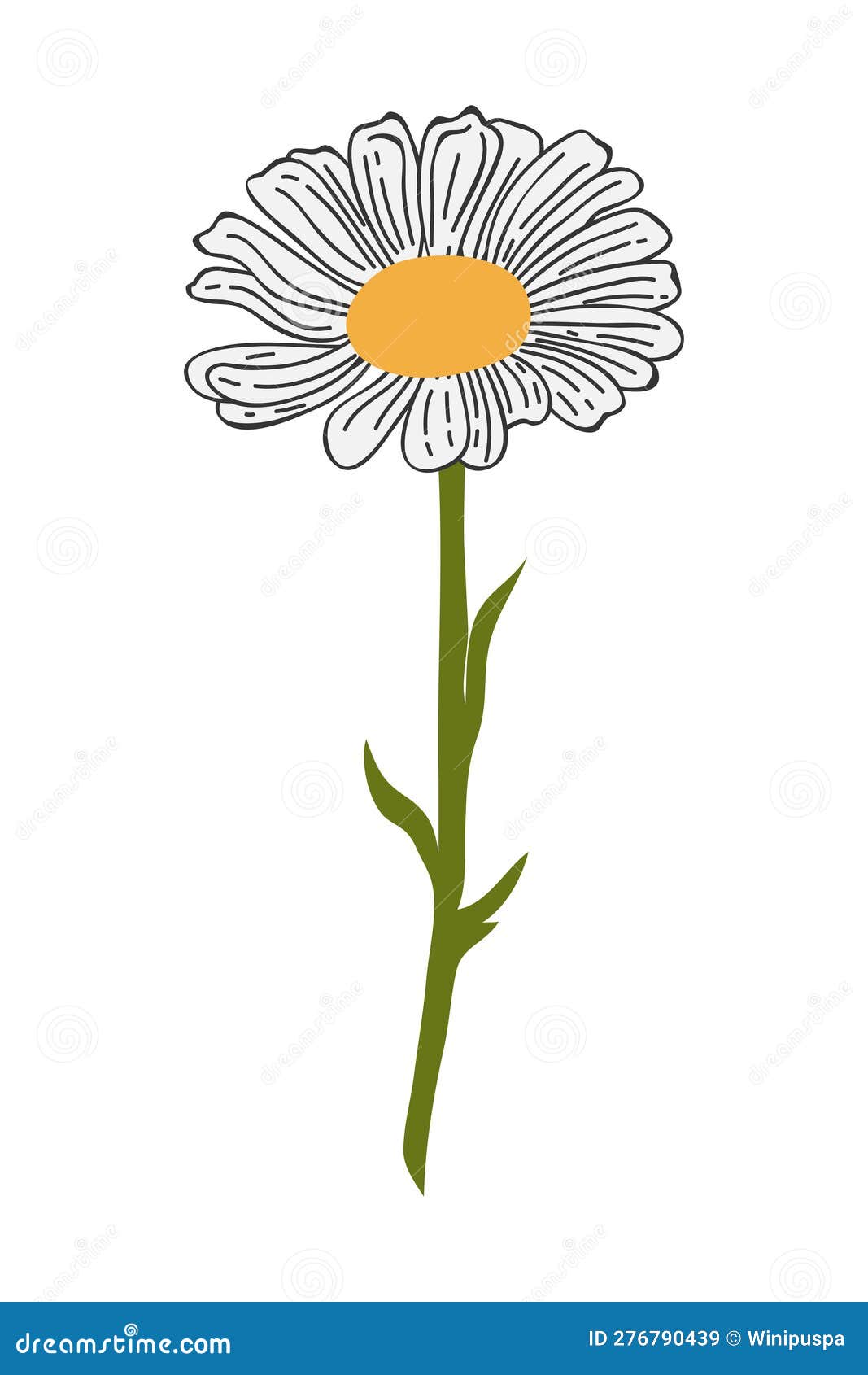 Hand Drawn Daisy Flower Cartoon Illustration Stock Vector