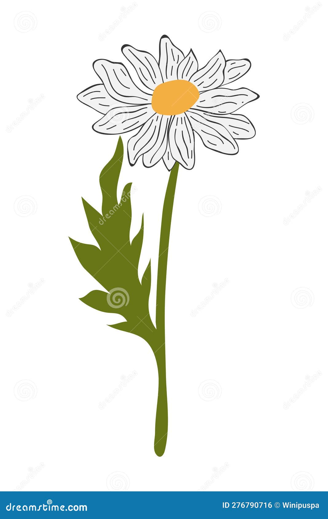 Hand Drawn Daisy Flower Cartoon Illustration Stock Vector