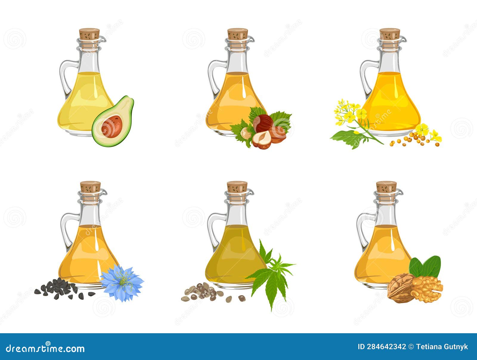 Set of Different Cooking Oils in Glass Bottles, Seeds, Nuts and Plants