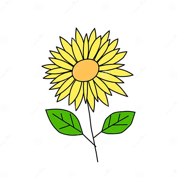 Sunflower Doodle Illustration in Vector Stock Vector Illustration of