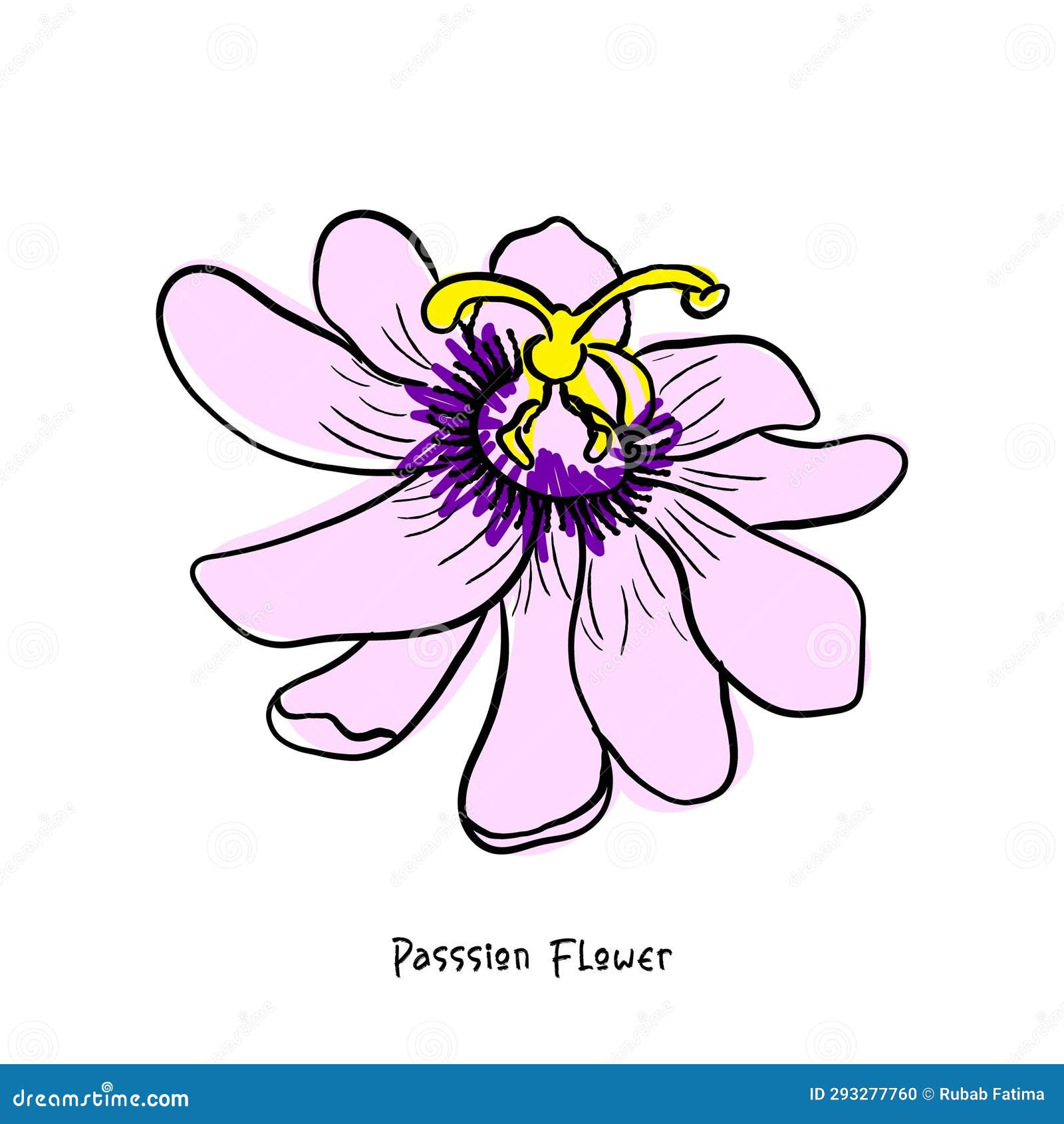 Passion flower stock illustration. Illustration of decoration 293277760