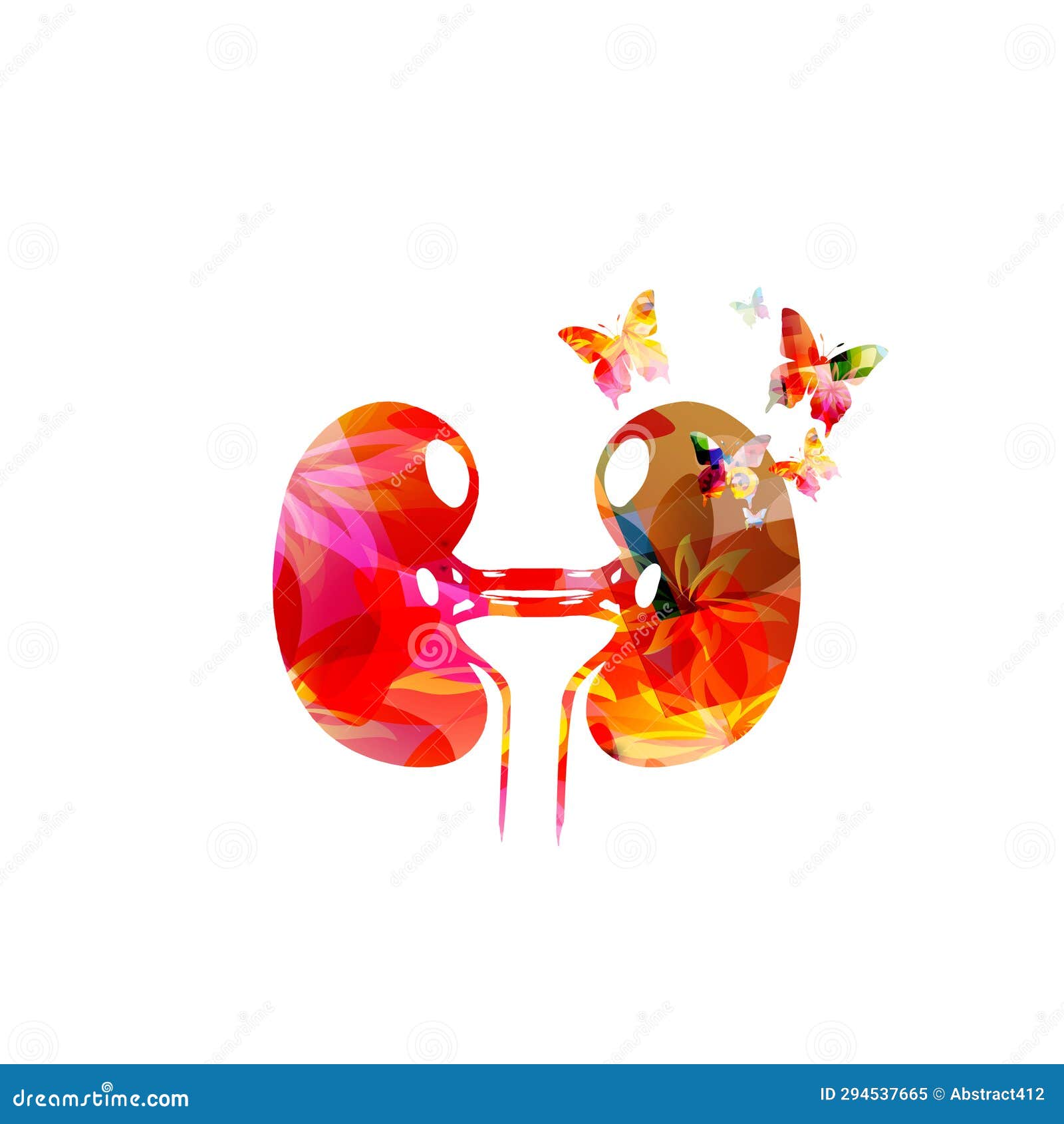 Kidney Anatomy Vector. Kidney Disease Treatment, Renal Transplant or