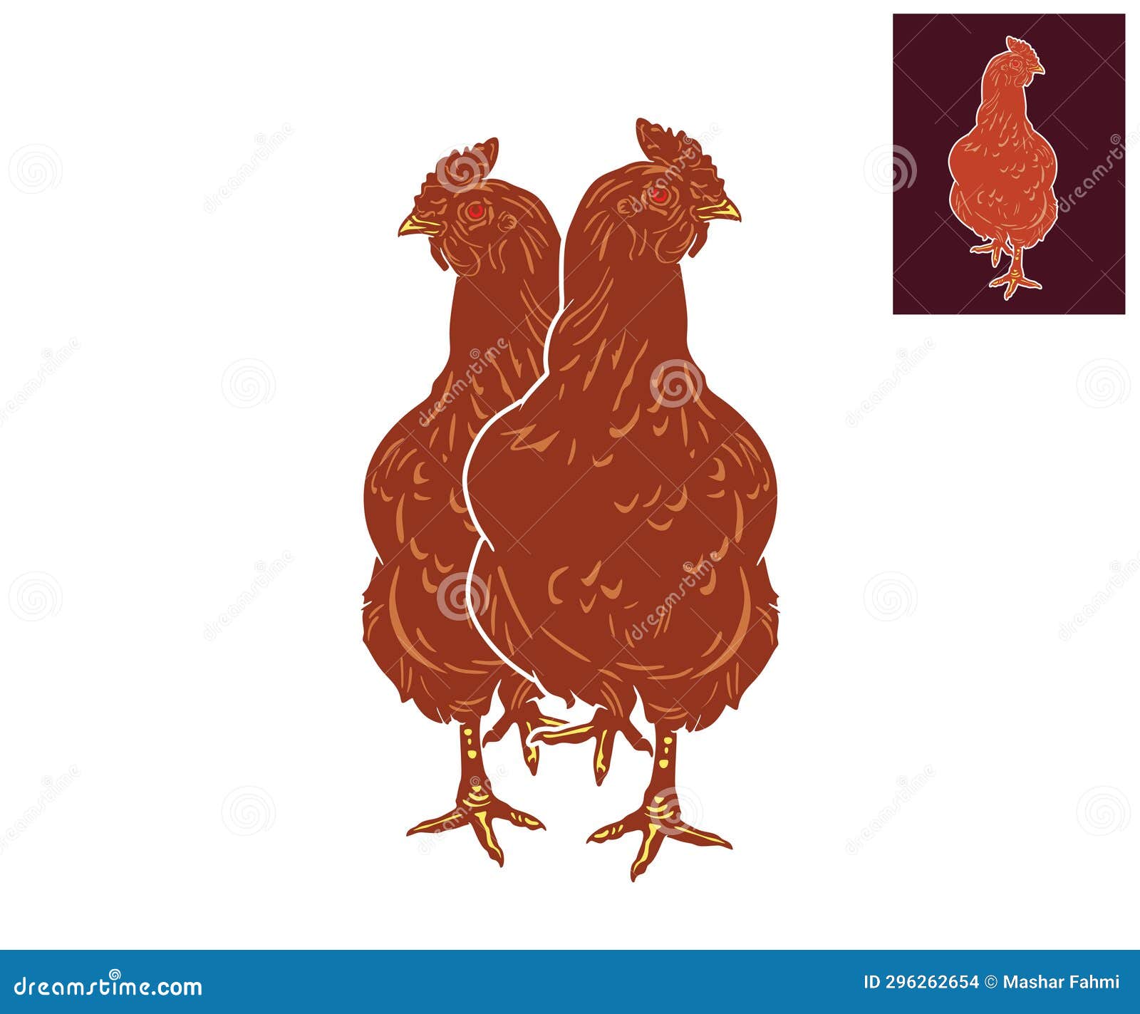 LARGE and STRONG LEGHORN CHICKEN LAYERS a TYPE of POULTRY that BENEFITS