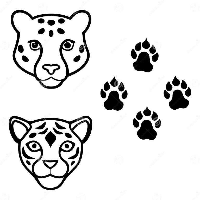 Vintage tiger and leopard print pattern set hand drawn safari skin