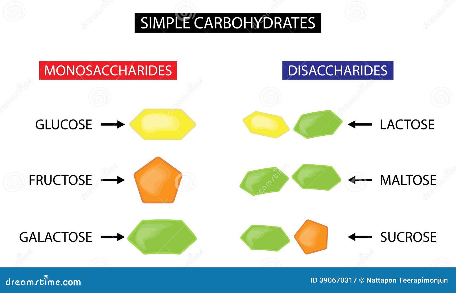 Detailed analysis of the D-galactose catabolic pathways in Aspergillus  niger reveals complexity at both metabolic and regulatory, image size:1600x1030