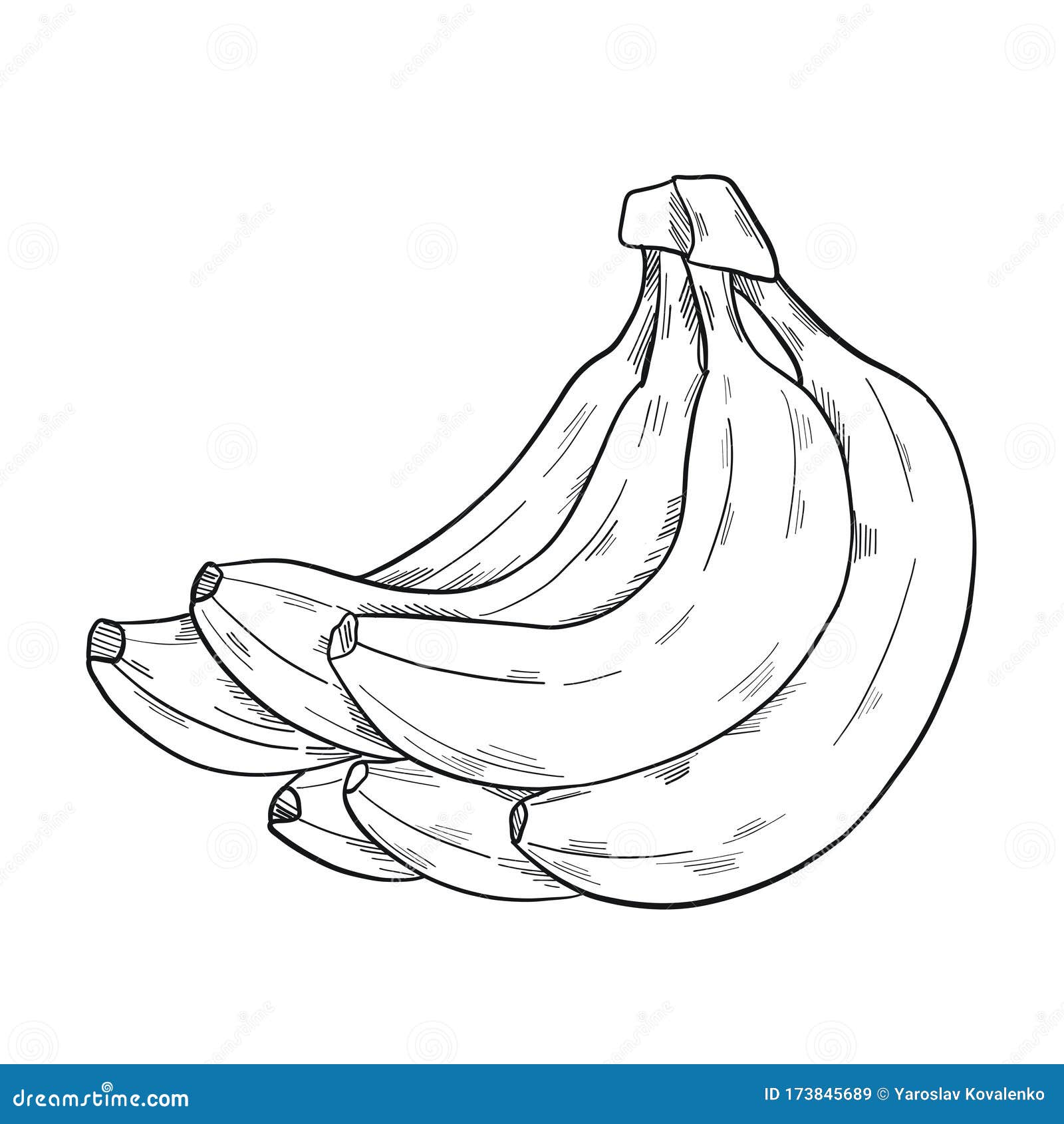 A Bunch of Banana in Clip Art Style in Isolate on a White Background