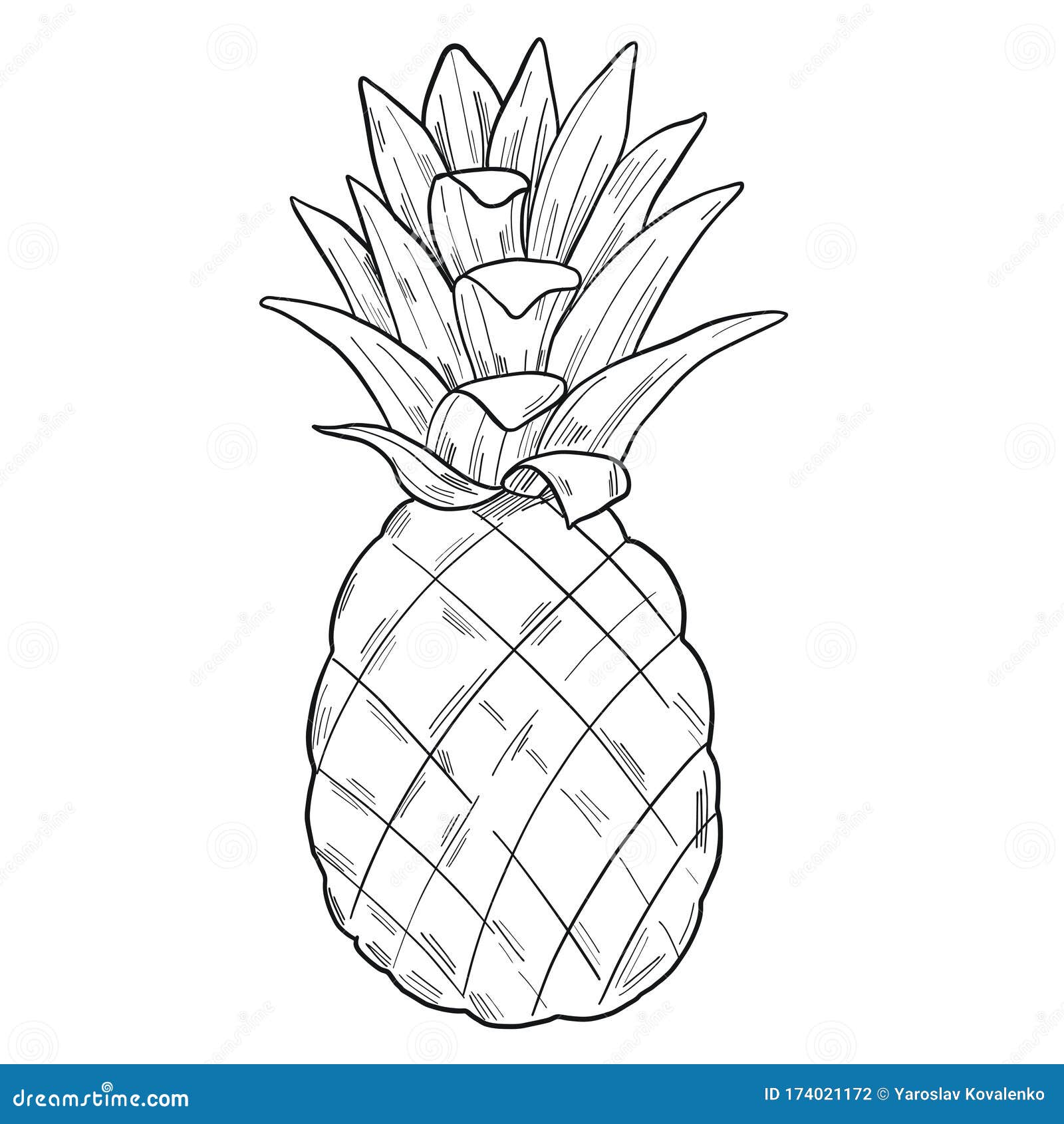 Graphic Illustration of a Pineapple in Clipart Style in Isolate on a