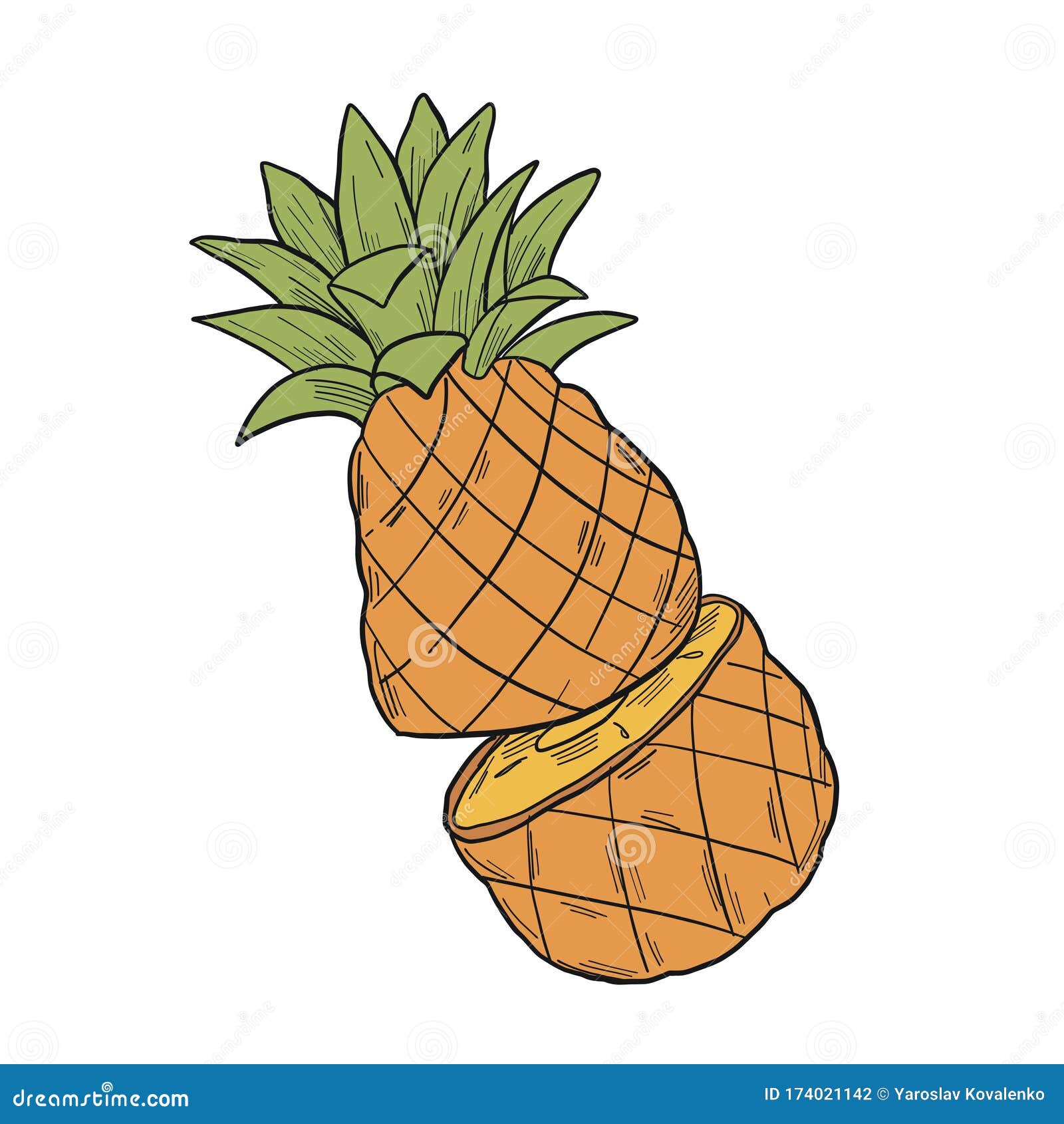Graphical Illustration of a Pineapple Cut in Half in Sketch Style in