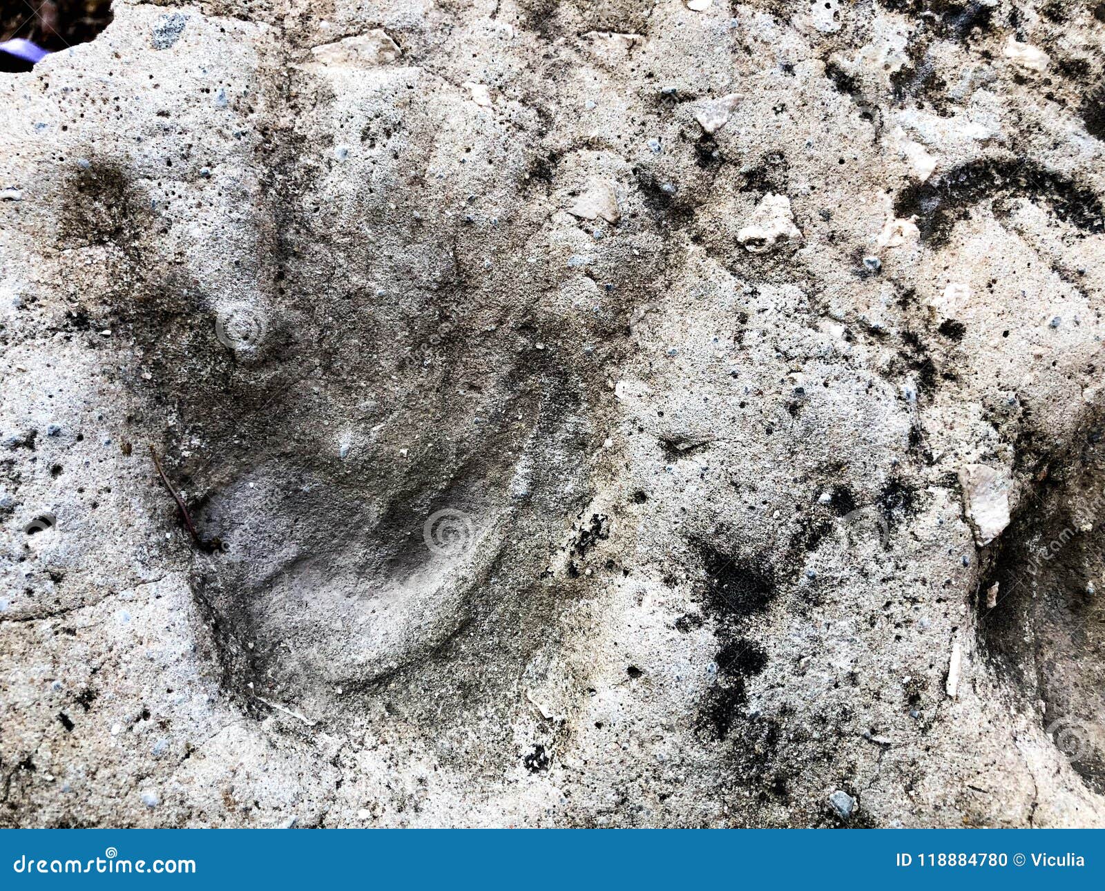 Print of Hand on Concrete. Handprint Close Up Shot Stock Photo - Image