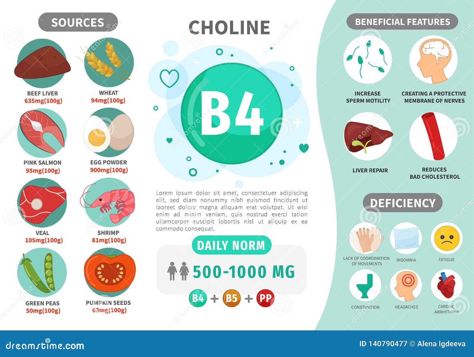 Infographics Vitamin B9 Vector Illustration CartoonDealer 143404164 infographics-vitamin-b9-vector-illustration-cartoondealer-143404164
