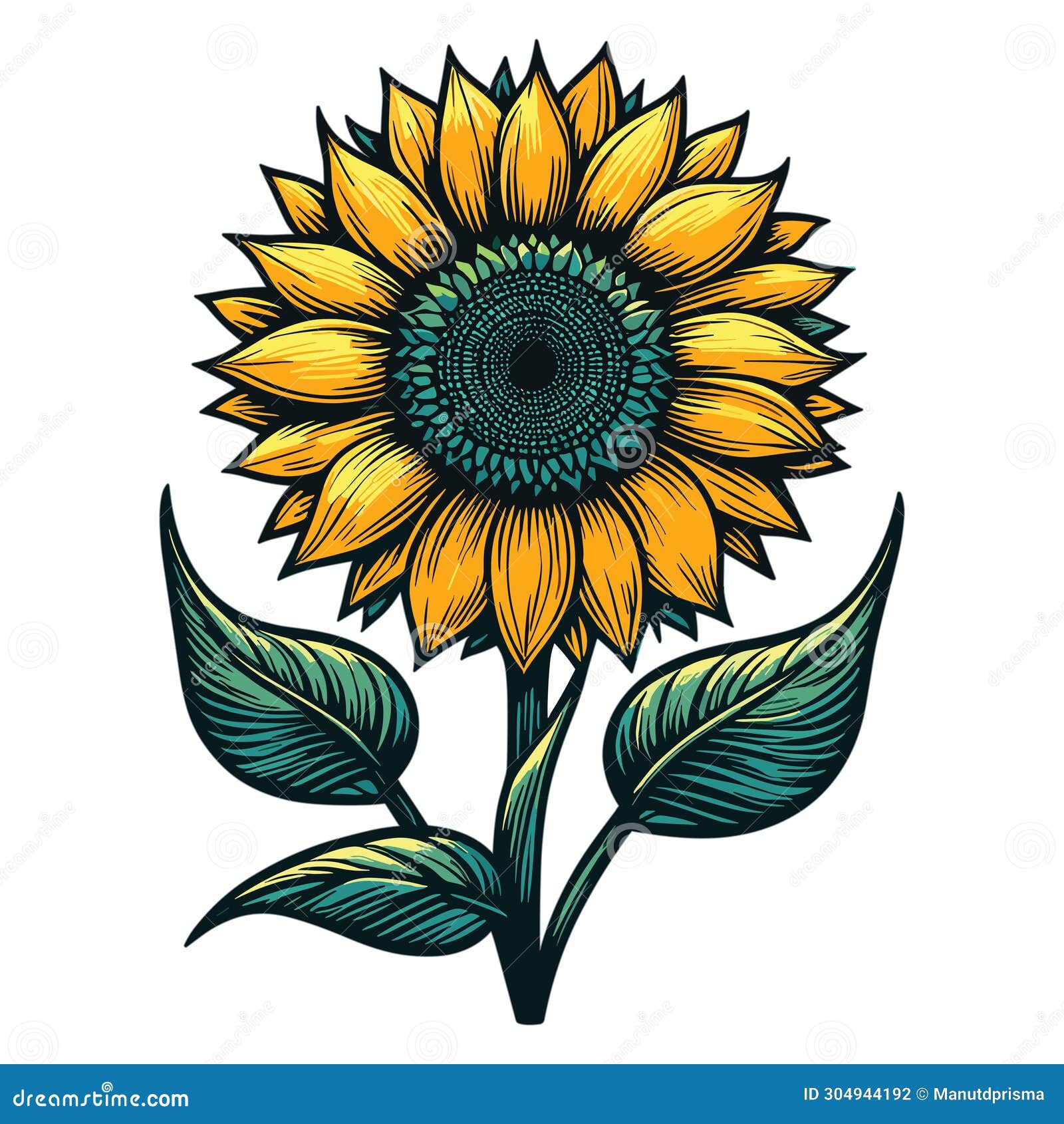sunflower with green polem clip art   on transparent background