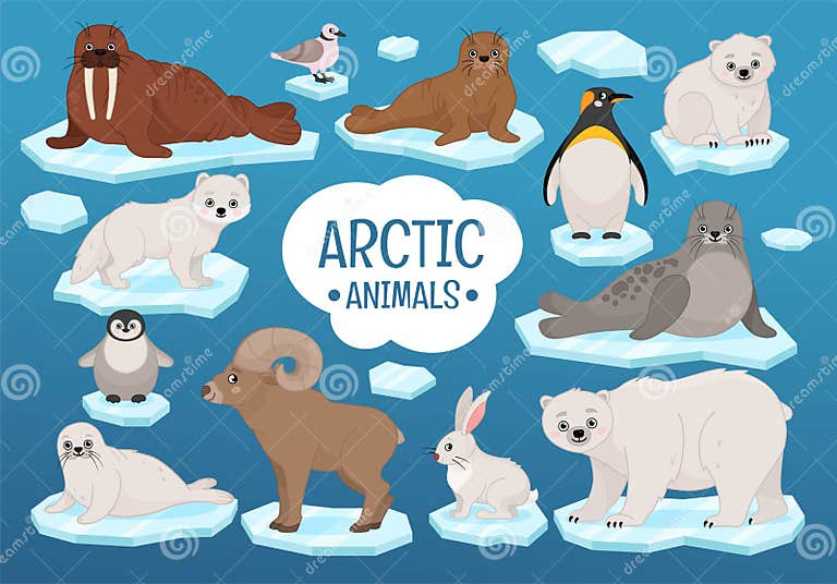 Vector Set of Arctic Animals Stock Vector - Illustration of pole ...