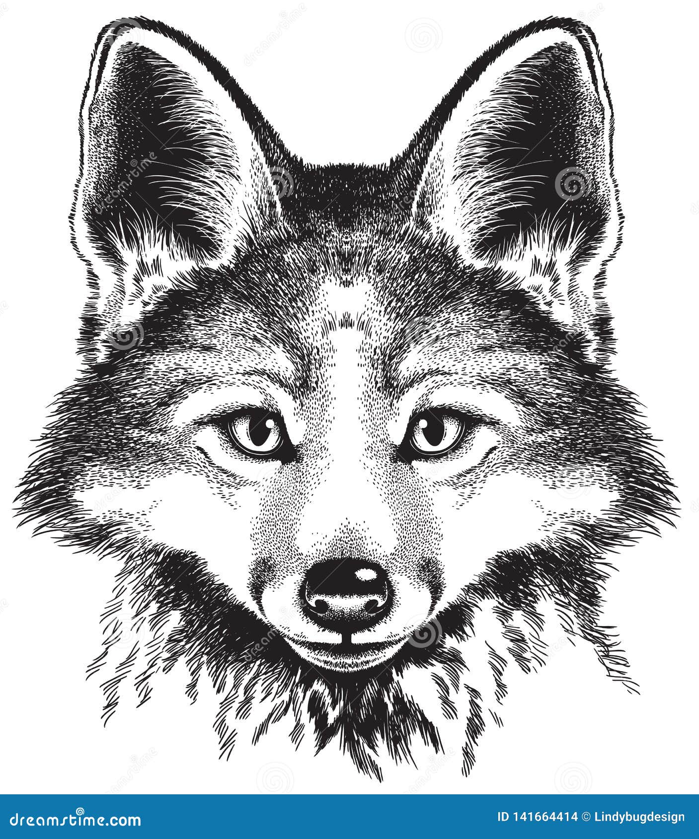 Portrait Sketch Of A Fox Face Stock Illustration Illustration Of Head Mask