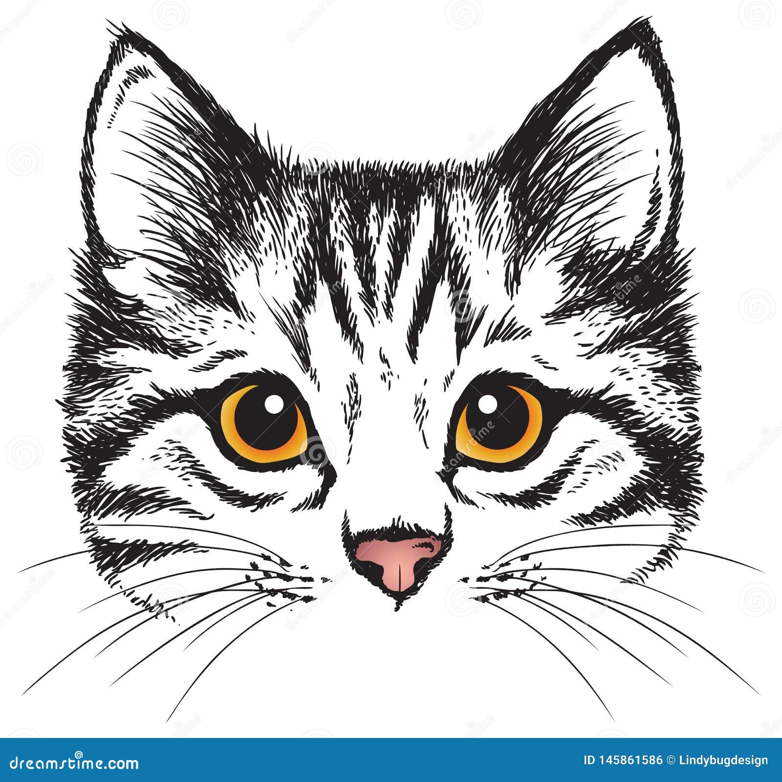 Vector Sketch of a Kitten`s Face Stock Vector - Illustration of pink