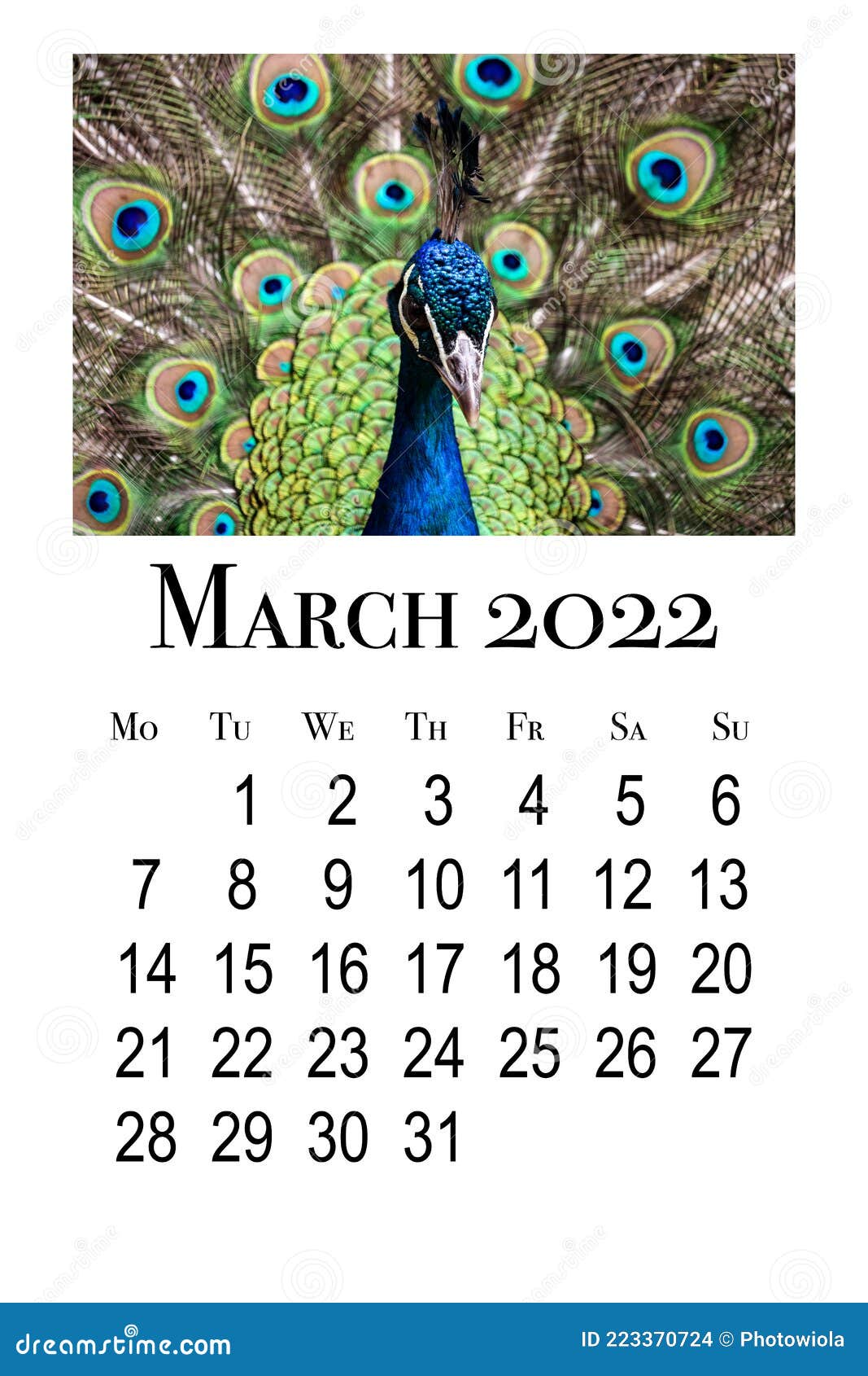 March 2022 4 March 4,