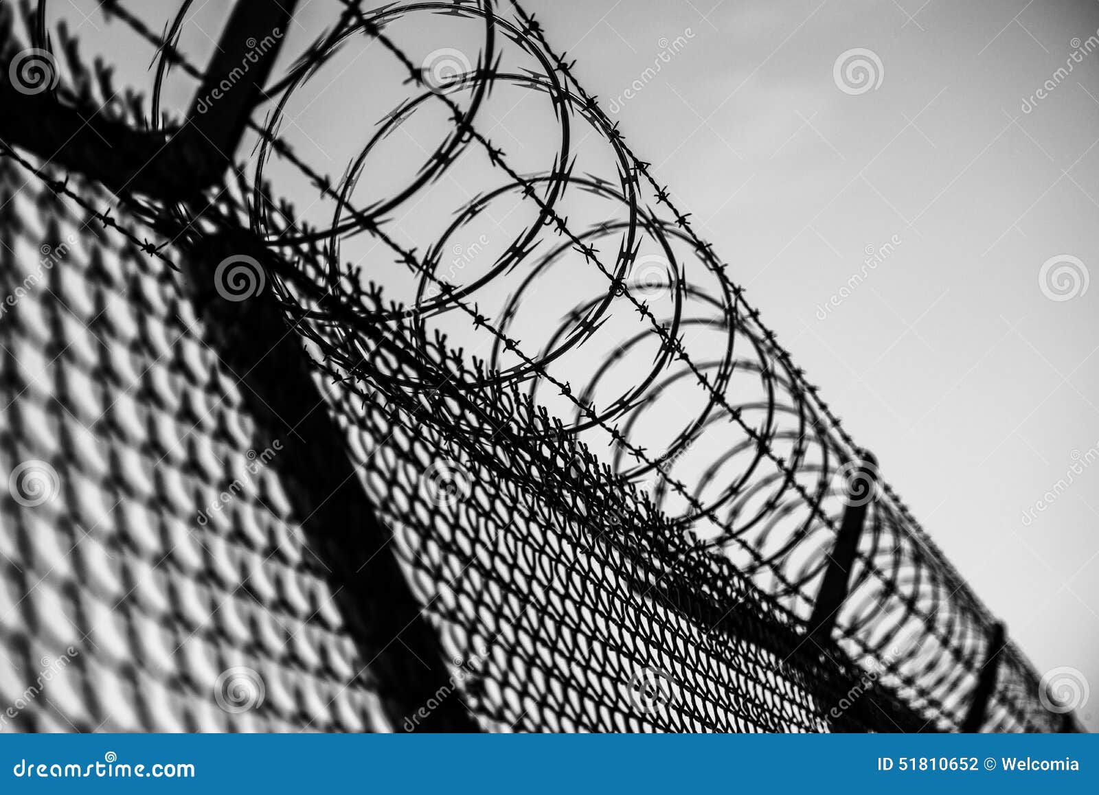 prison fence