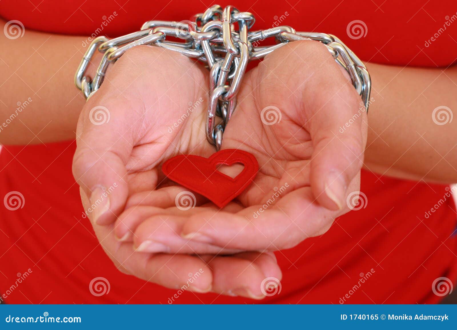 Prisonnier de l'amour image stock. Image du réseau, blocage - 1740165