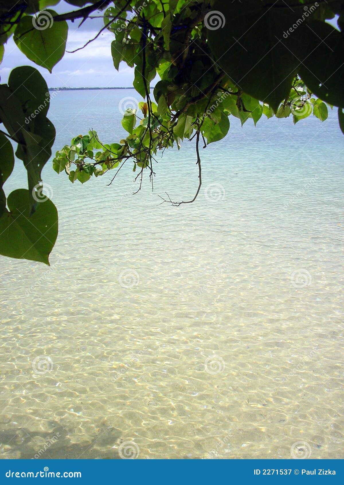 pristine beach of tonga