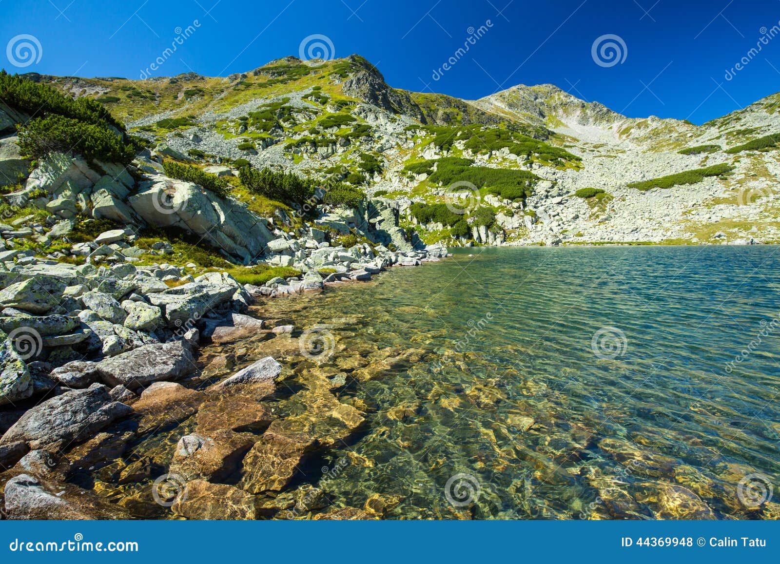 Pristine Glacier Lake in the Alps Stock Photo Image of crystal