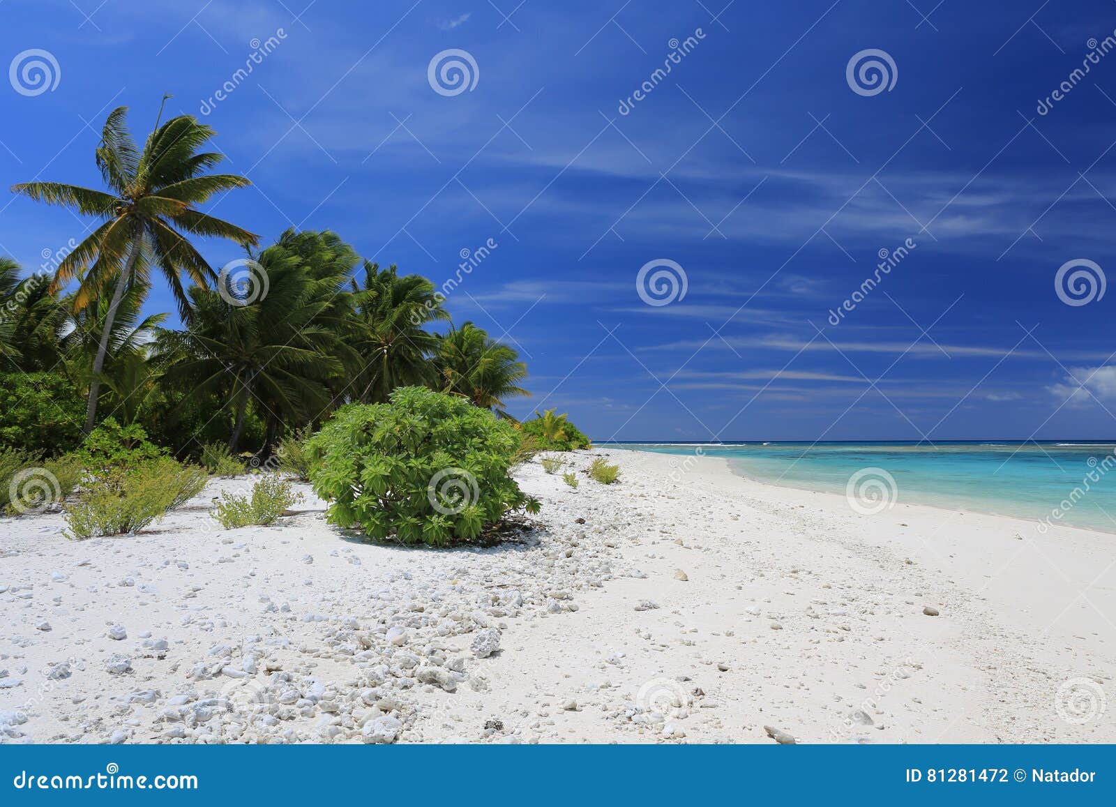 pristine remote coco palm beach, christmas island, kiribati