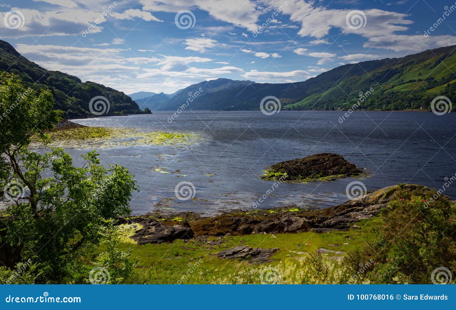 Pristine View of the Landscape Around the Dornie Region Stock Photo ...