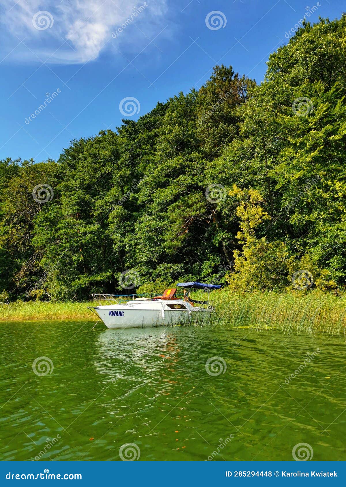 tranquil white motorboat amidst nature's canvas