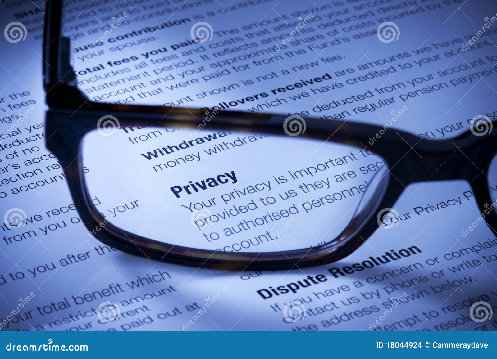 privacy identity information theft