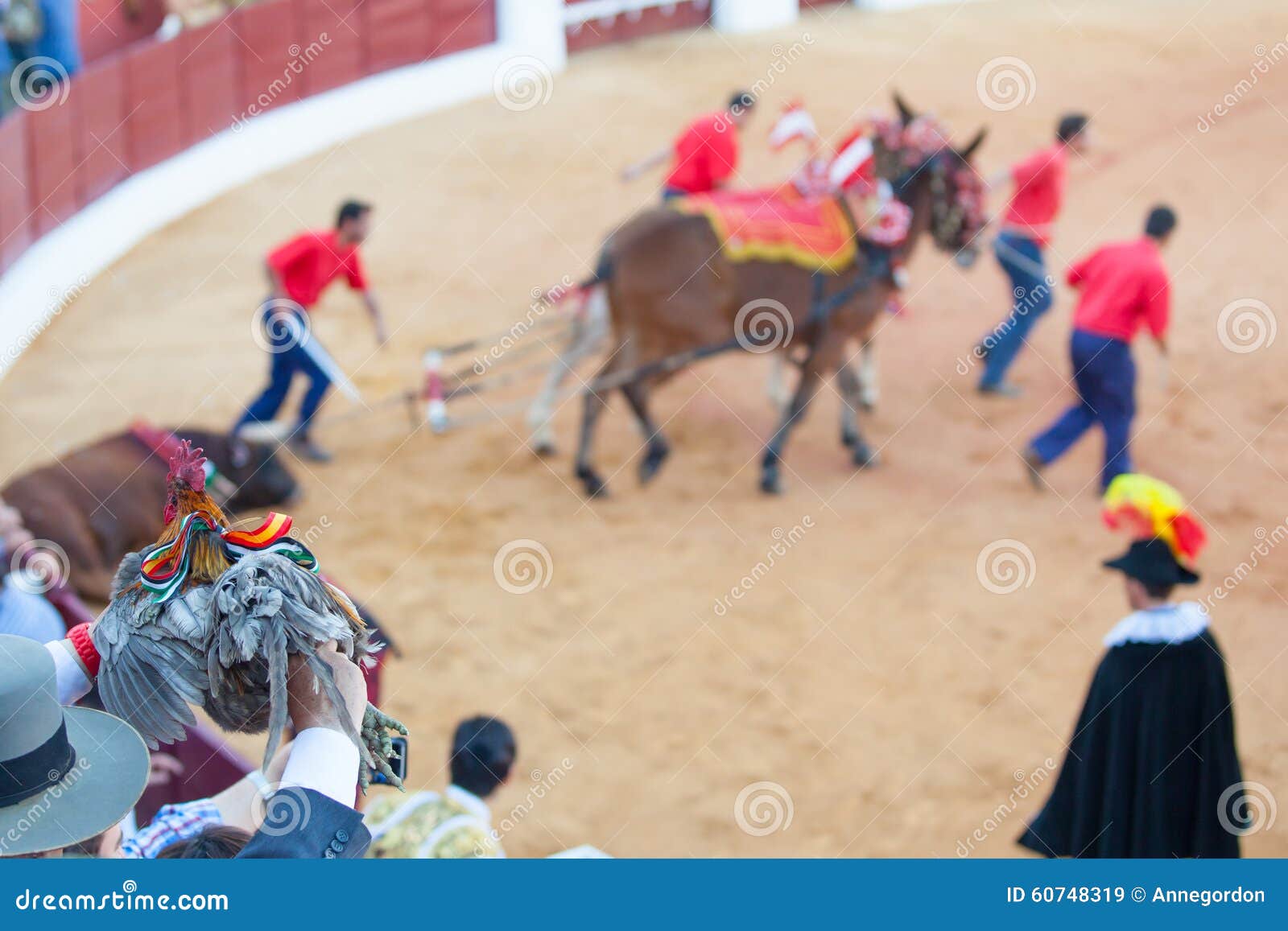 prizewinning bullfighter