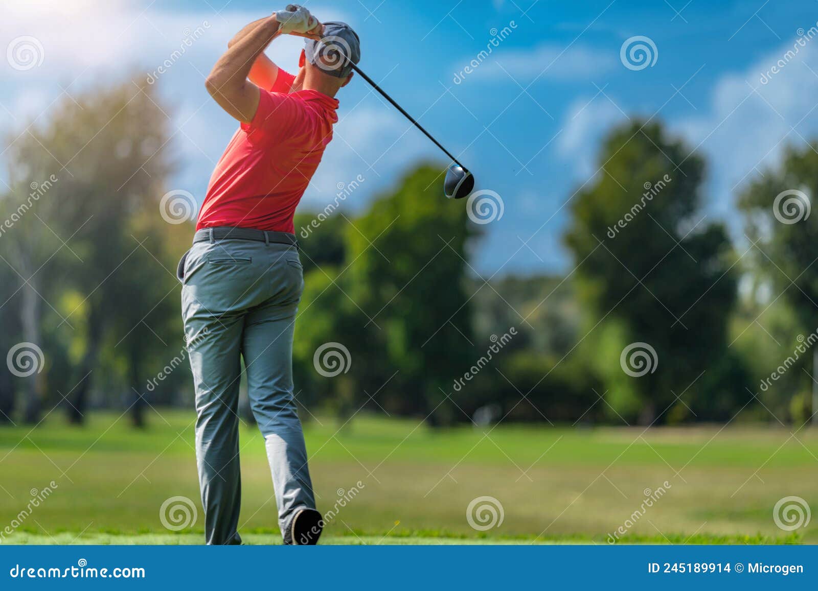 Pro Golfer in a Golf Swing, Using a Driver Golf Club, Rear View Stock