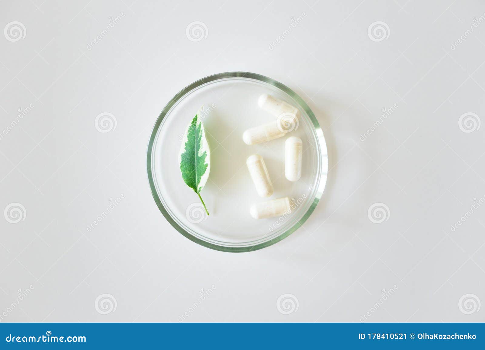 probiotic supplement in capsules and plant leaf in glass petri dish on white background, above. concept dietary supplement natural