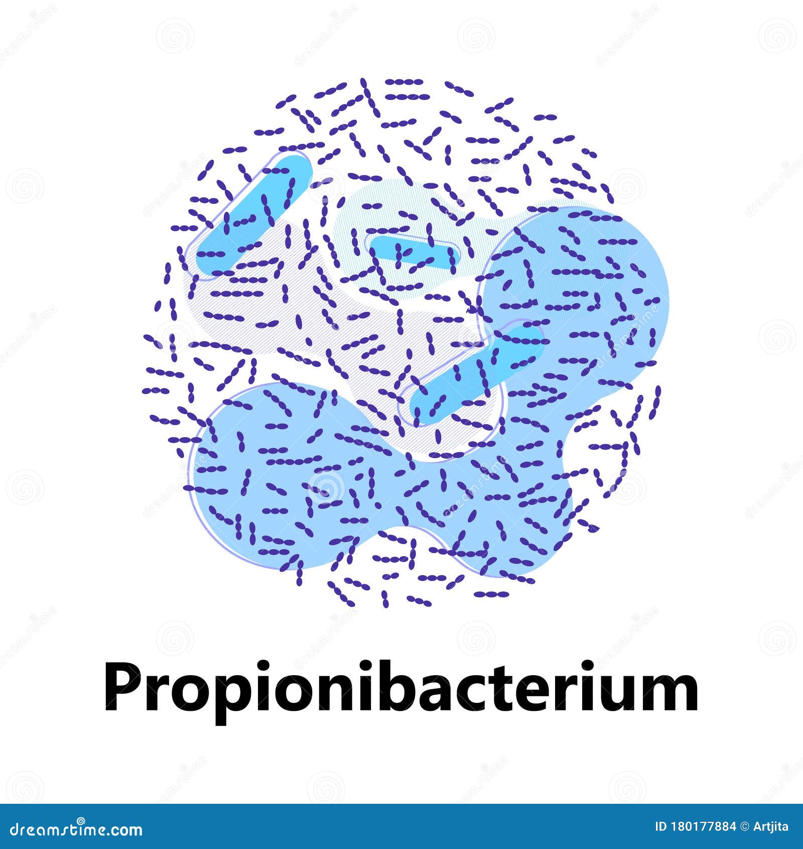 probiotics bacteria. lactobacillus, bulgaricus logo with text. amorphous s for milk products are shown such as yogurt,