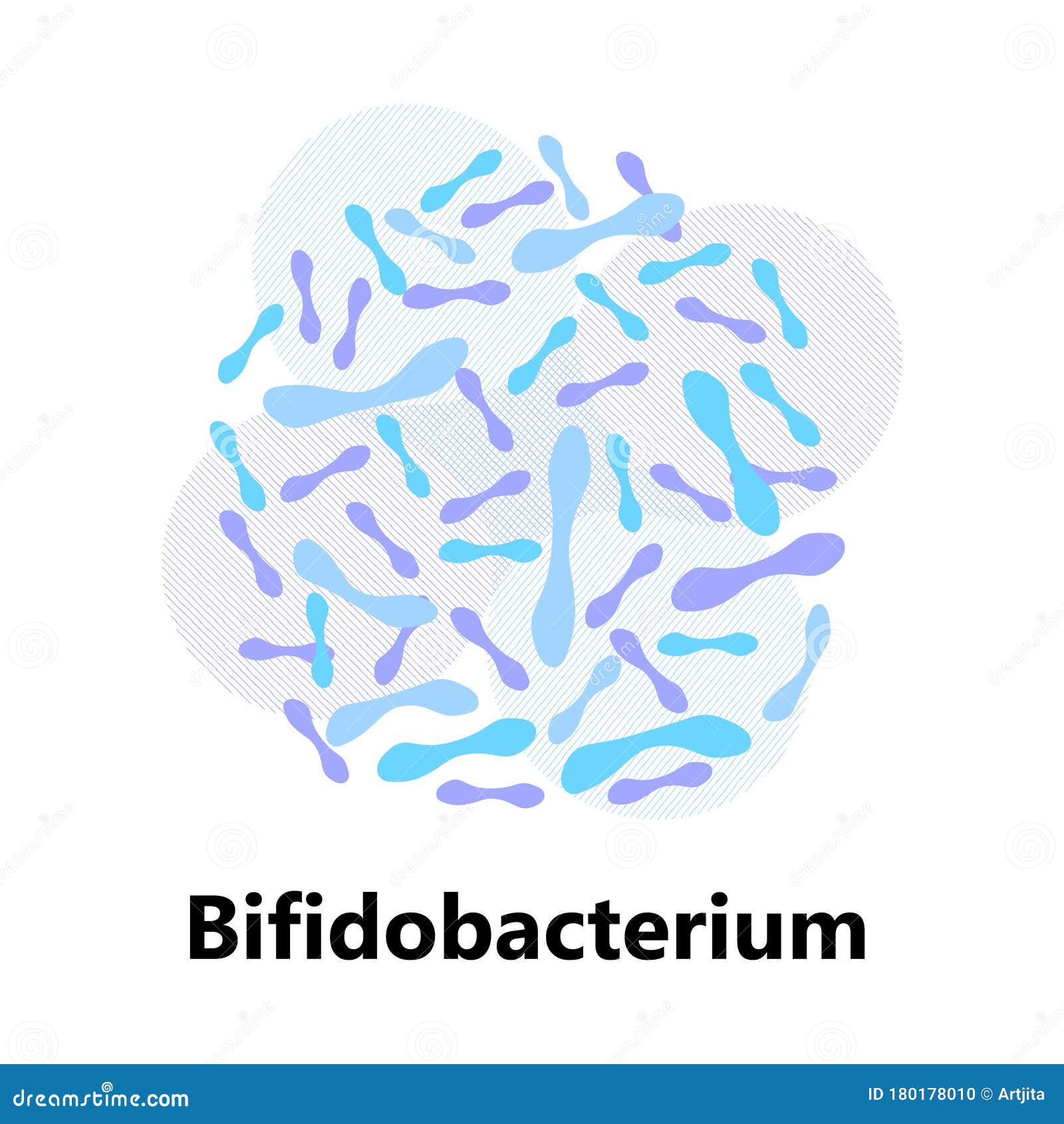 probiotics bacteria. lactobacillus, bulgaricus logo with text. amorphous s for milk products are shown such as yogurt,